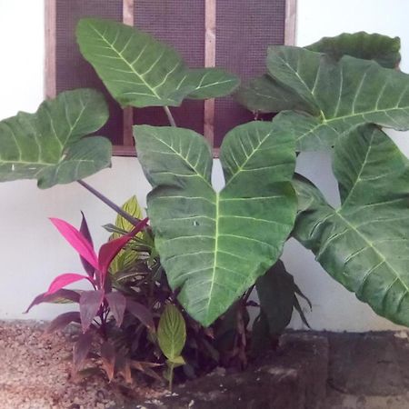 Jambiani Home Stay Exterior photo